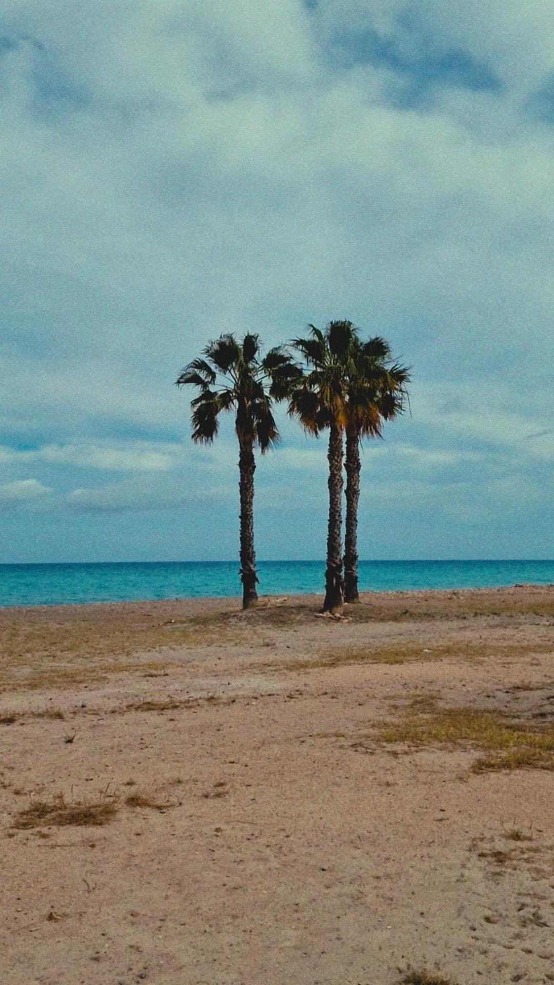 Apartamento Playa Moncofa-Chilches Chilches  Dış mekan fotoğraf